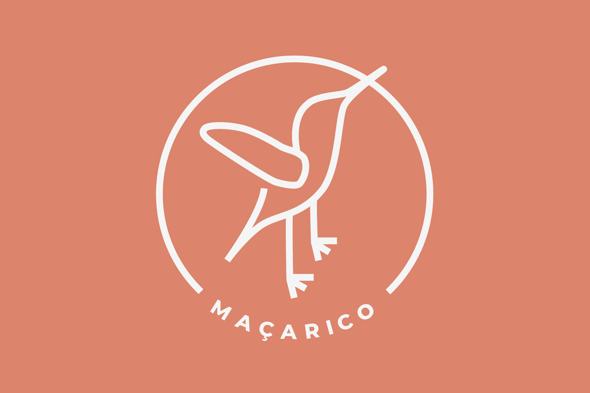 Maçarico, Ocean Literacy